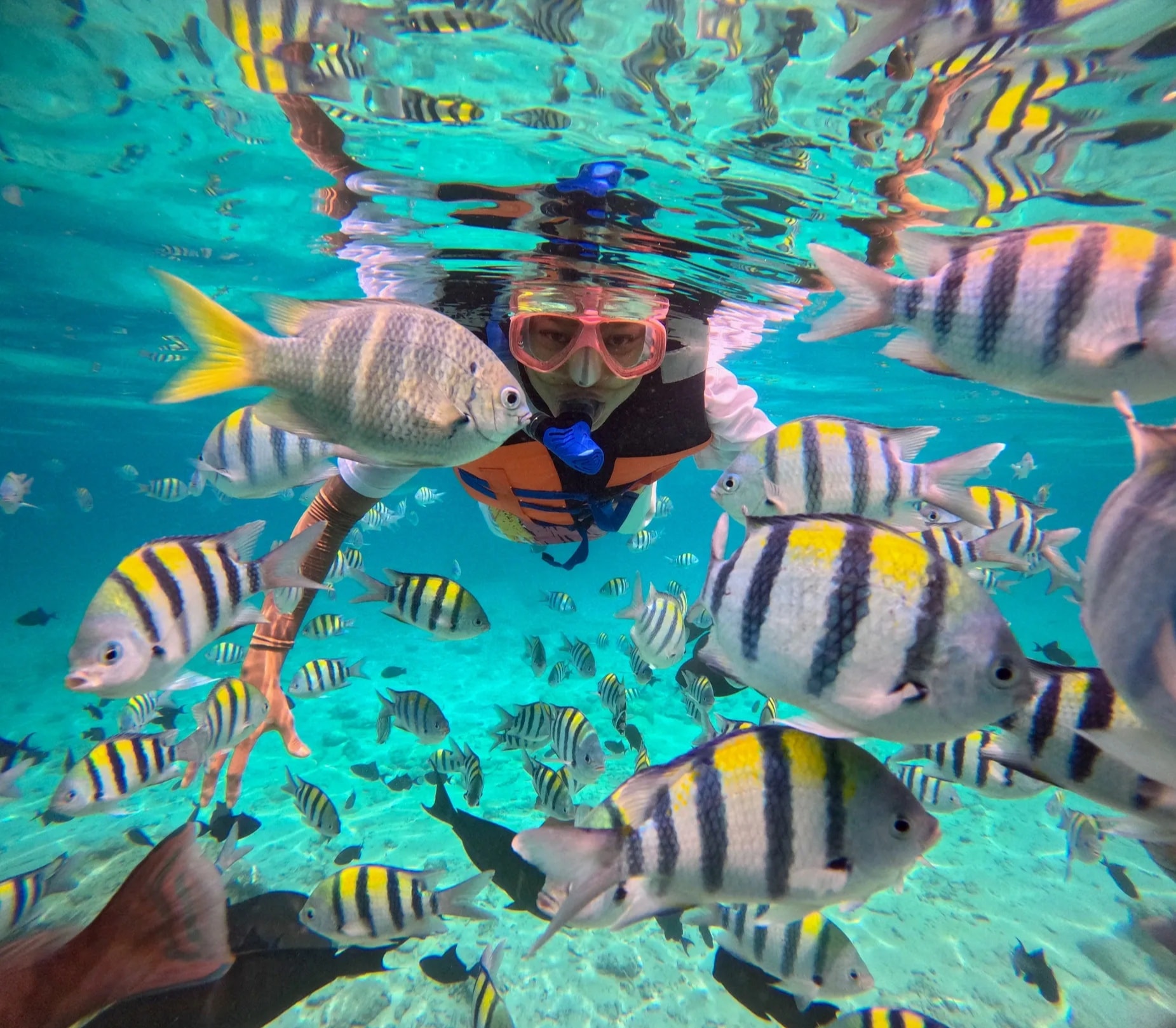 Snorkeling